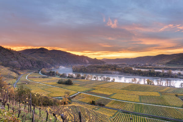 Weissenkirchen in der Wachau, Wachau, Waldviertel, district of Krems, Lower Austria, Austria, Europe. Sunrise in the vineyards near Weissenkirchen in der Wachau, view to the Danube river and the villages of Rossatz and Dürnstein