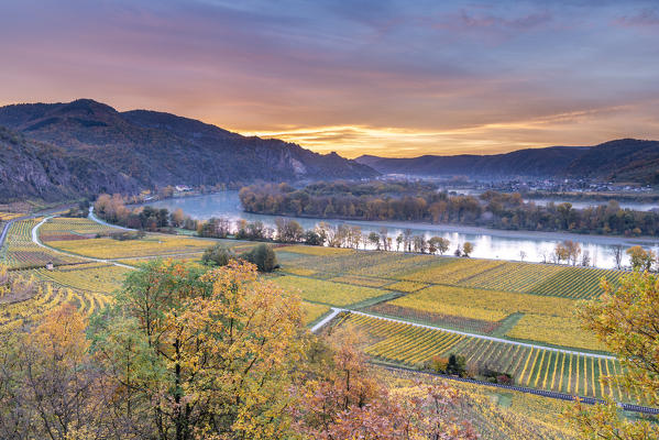 Weissenkirchen in der Wachau, Wachau, Waldviertel, district of Krems, Lower Austria, Austria, Europe. Sunrise in the vineyards near Weissenkirchen in der Wachau, view to the Danube river and the villages of Rossatz and Dürnstein