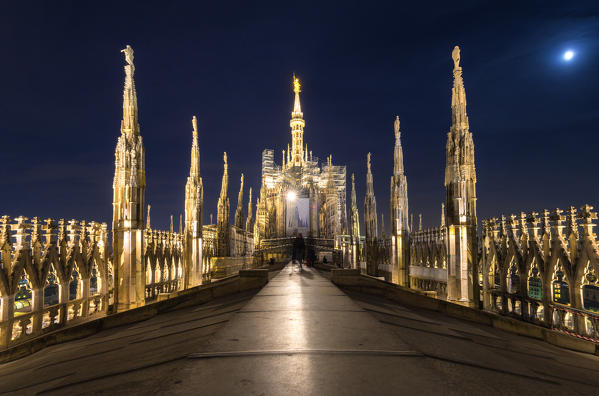 Milan - Italy
On the roof of the Cathedral of Milan