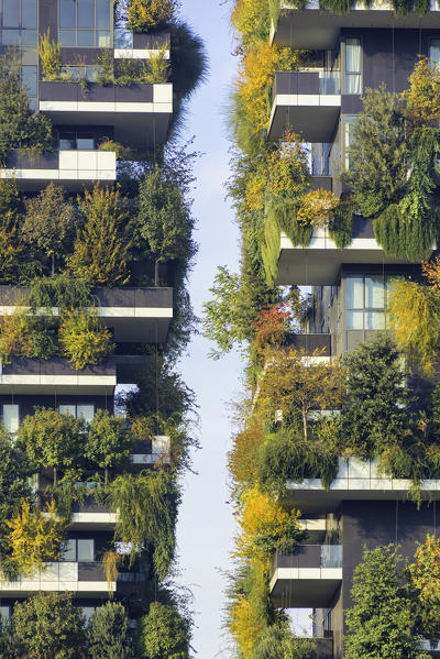 Milan, Lombardy, Italy. 
Details of the Bosco Verticale building.