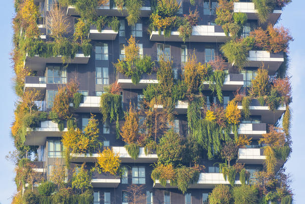 Milan, Lombardy, Italy.
Details of the Bosco Verticale building.