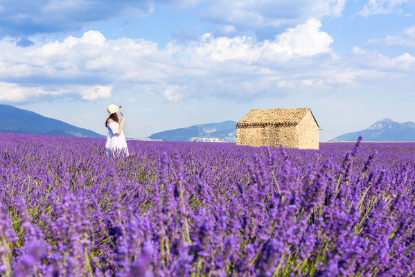 Valensole, Provence, France.
