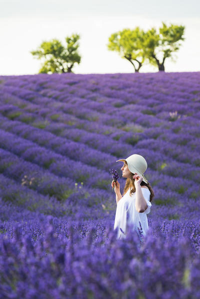 Valensole, Provence, France.