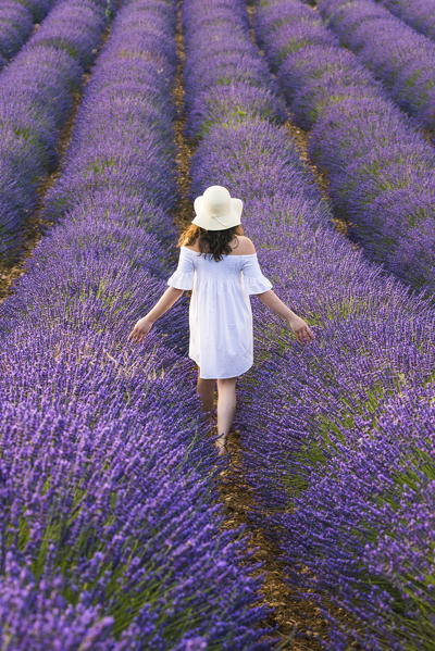 Valensole, Provence, France.
Girl walks through the lavender fields.