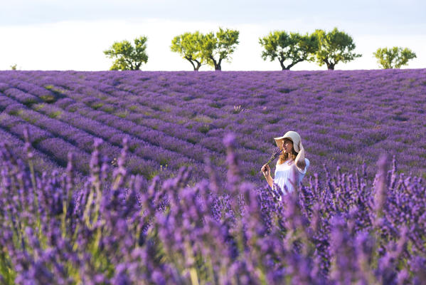 Valensole, Provence, France. (MR)