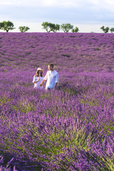 Valensole, Provence, France.
Engaged couple walk through the lavender fields.