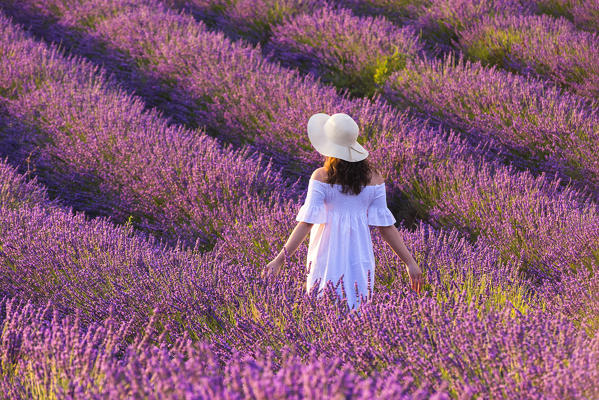 Valensole, Provence, France.
Girl admires the lavender fields at sunset. (MR)