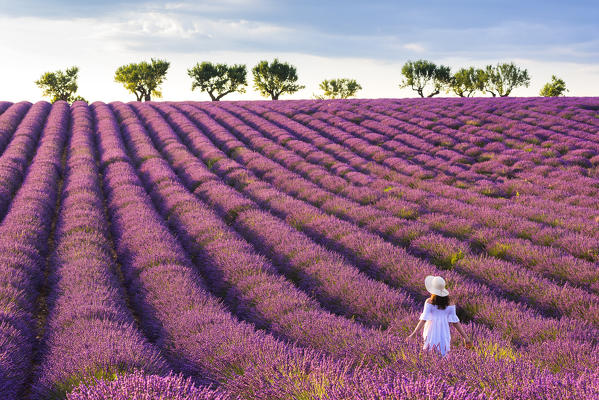 Valensole, Provence, France. 
Girl admires the lavender fields at sunset. (MR)