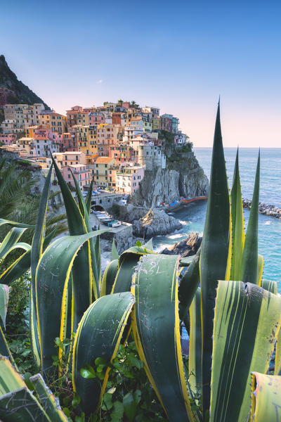 Village of Manarola, Cinque Terre National Park, municipality of Riomaggiore, La Spezia province, Liguria district, Italy, Europe