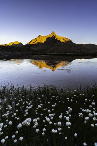 Summer season in Gavia pass at sunrise, Brescia province in Canonica Valley, Lombardy district in Italy.