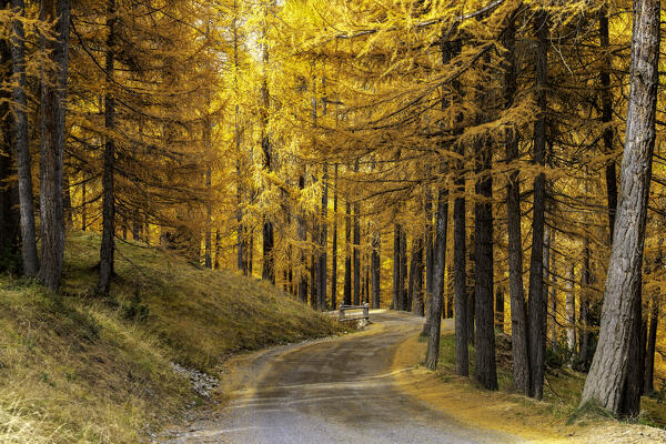 Livigno' road in autumn season in sunrise, Valtellina, Sondrio province, Lombardy, Italy