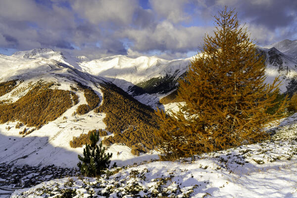 Livigno from Crap de La Pare in autumn season in sunrise, Valtellina, Sondrio province, Lombardy, Italy