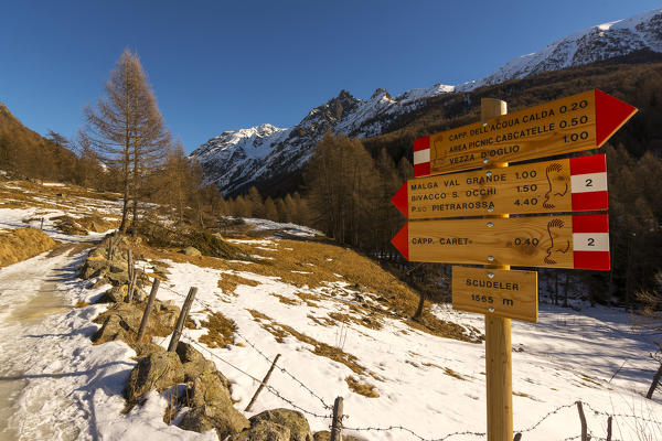 Stelvio National Park, Val Grande, Vezza d'Oglio province of Brescia