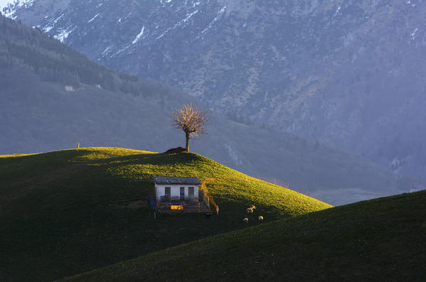 A natural picture of Val Serina, small valley in the province of Bergamo.