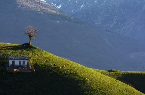 A natural picture, in Val Serina, province of Bergamo, a place 'of absolute peace and tranquility.