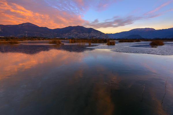 Nature Reserve , Torbiere del Sebino , provinces of Brescia , Lombardia, Italy