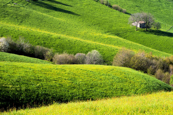 Spring Detail, Province of Bergamo, Italy.