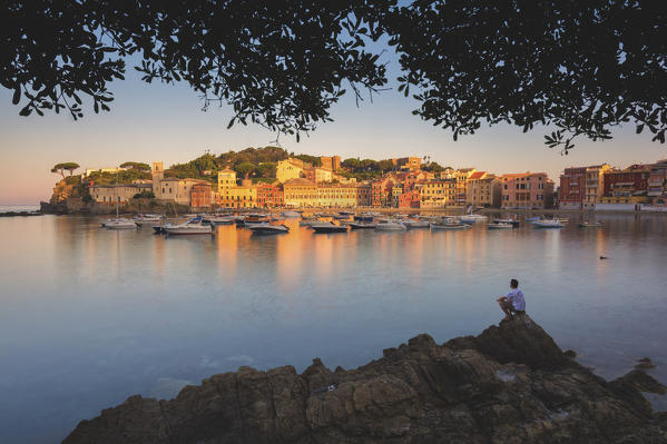 Europe, Italy, Bay of Silence, Sestri Levante, Liguria.