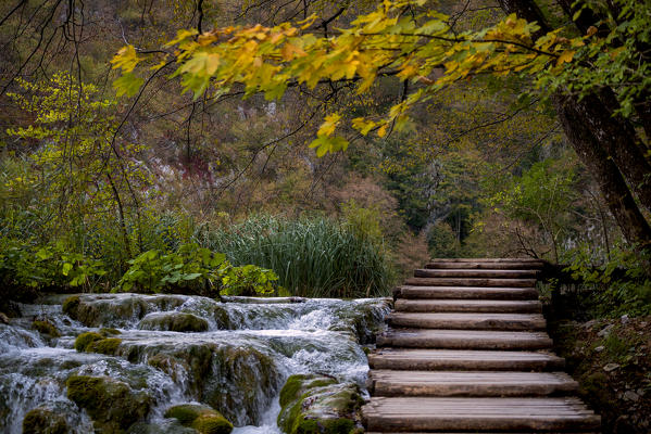 Plitvice national park,Karlovac region, Croatia district, Europe.
