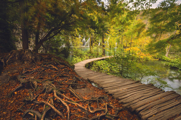 Plitvice national park,Karlovac region, Croatia district, Europe.