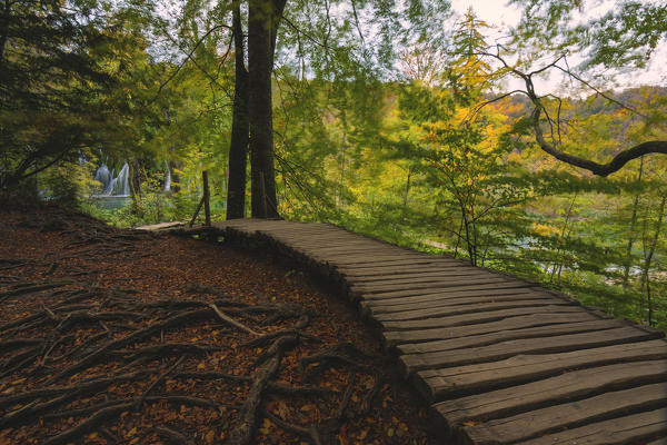 Plitvice national park,Karlovac region, Croatia district, Europe.