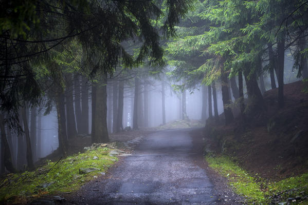 Autumn atmosphere, Brescia province, Lombardy district, Italy, Europe.