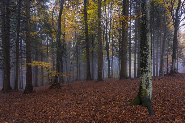 Autumn atmosphere, Brescia province, Lombardy district, Italy, Europe.