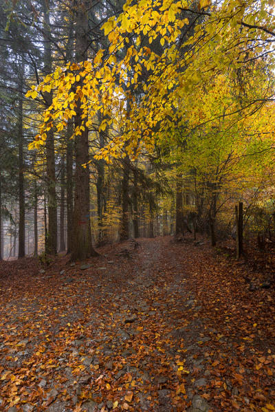 Autumn atmosphere, Brescia province, Lombardy district, Italy, Europe.