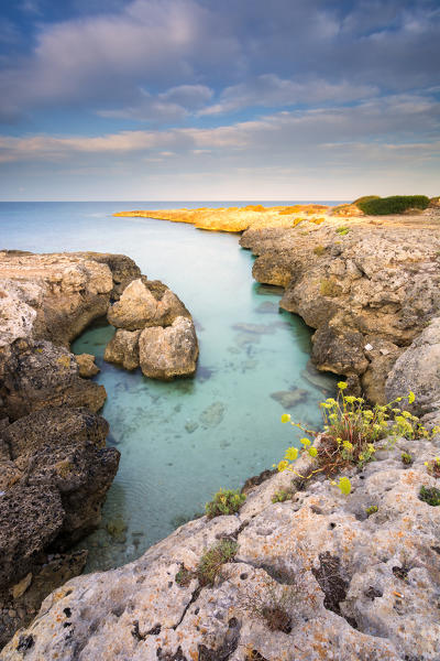 Sunrise in Salento, Taranto province, Puglia district, Italy, Europe.