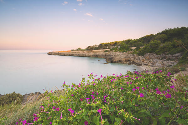 Sunrise in Salento, Taranto province, Puglia district, Italy, Europe.