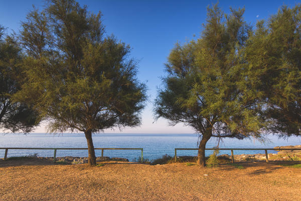 Sunrise in Salento, Taranto province, Puglia district, Italy, Europe.