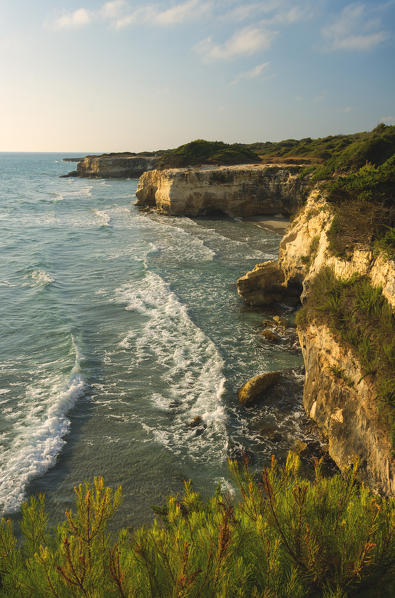 Torre Sant'Andrea at dawn, Lecce province, Europe, Italy, Puglia district.