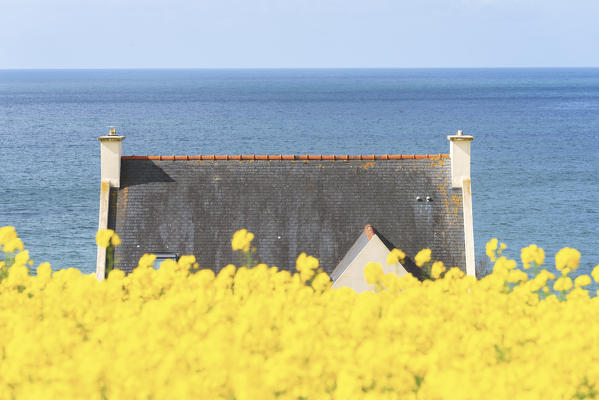 Typical house in Bretagne, Bretagne, France.