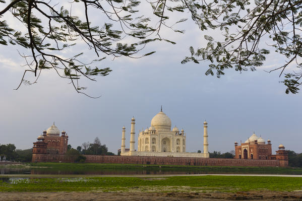 Taj Mahal, Agra, Uttar Pradesh, India, Asia.
