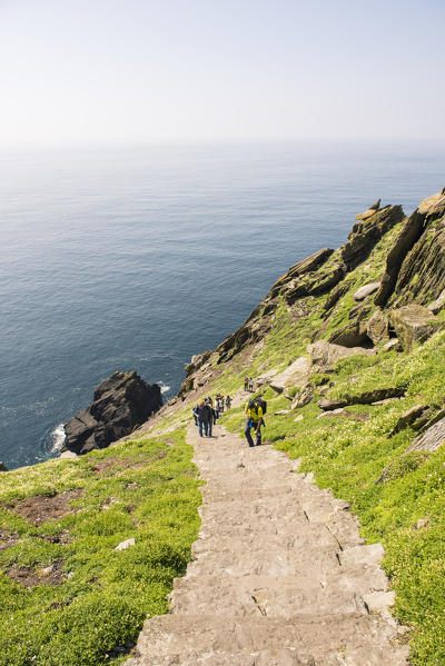 Skellig Michael (Great Skellig), Skellig islands, County Kerry, Munster province, Ireland, Europe. Tourists climbs the stairs to the monastery.