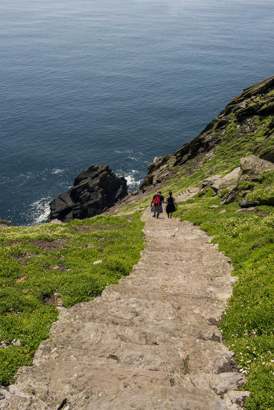 Skellig Michael (Great Skellig), Skellig islands, County Kerry, Munster province, Ireland, Europe. Tourists climbs the stairs to the monastery.