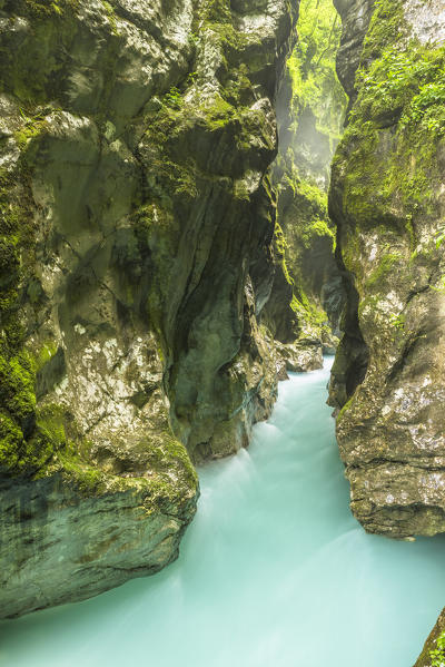 Tolmin gorges, Triglav National Park, Slovenia, East Europe.