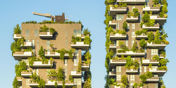 Milan, Lombardy, Italy. Details of the Bosco Verticale building.