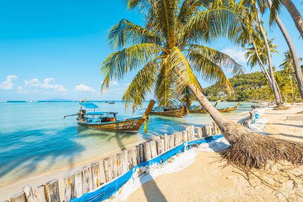 Ao Lo Bakao (Lo Bakao Bay), Ko Phi Phi Don, Krabi Province, Thailand. Traditional longtail boats.