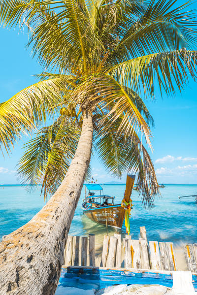 Ao Lo Bakao (Lo Bakao Bay), Ko Phi Phi Don, Krabi Province, Thailand. Traditional longtail boats.