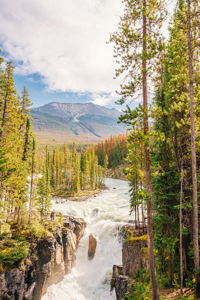 Sunwapta falls in Jasper National Park, Canadian Rockies, Alberta, Canada