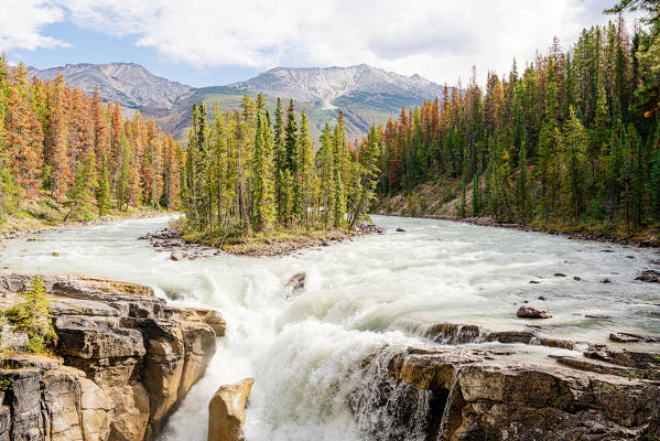 Sunwapta falls in Jasper National Park, Canadian Rockies, Alberta, Canada
