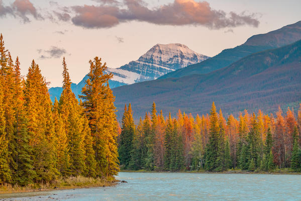 Autumn landscape in the Canadian Rockies. Jasper Alberta, Canada.