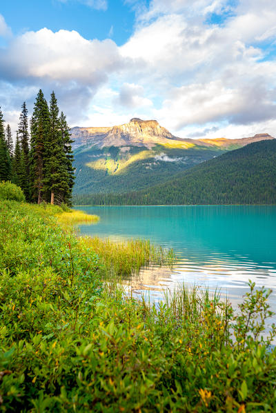 Reflection at Emerald Lake in Yoho National Park, British Columbia, Western Canada