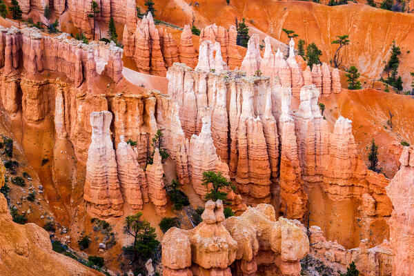 Sunrise at Bryce Canyon National Park, Utah, USA. Details on Hoodoos rock formations 