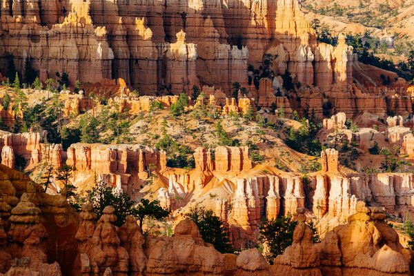 Sunrise at Bryce Canyon National Park, Utah, USA. Details on Hoodoos rock formations 