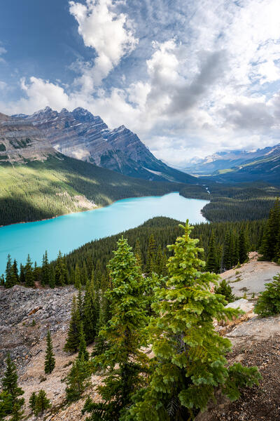 Peyto Lake with Mount Patterson - Canada, Alberta, Banff National Park. Canadian rockies