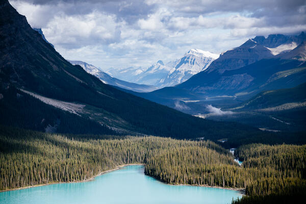 Peyto Lake with Mount Patterson - Canada, Alberta, Banff National Park. Canadian rockies