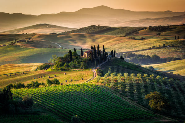 Val d'Orcia, Tuscany, Italy. Amazing sunrise over the green and golden hills of the Tuscan landscape