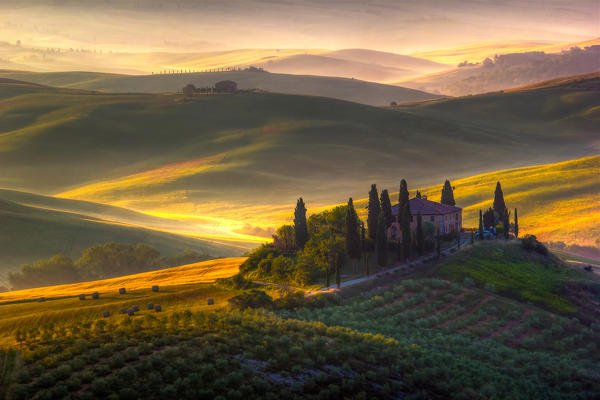 A beautiful farmhouse surrounded by cypress trees and the golden hills of Val d'Orcia